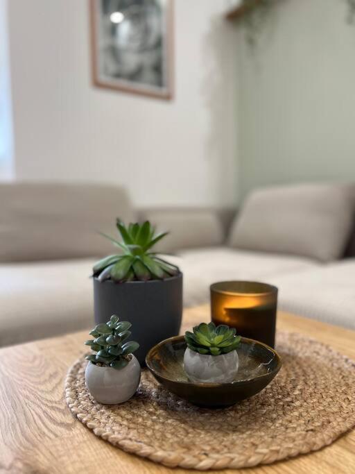 Apartment Ilka