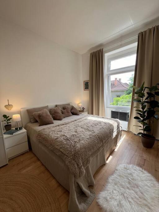 Apartment Ilka *
